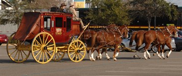 2015 BwS stagecoach 1 photo