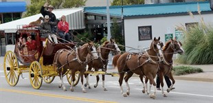 2015 BwS stagecoach 2 photo