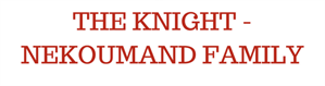 Knight Logo