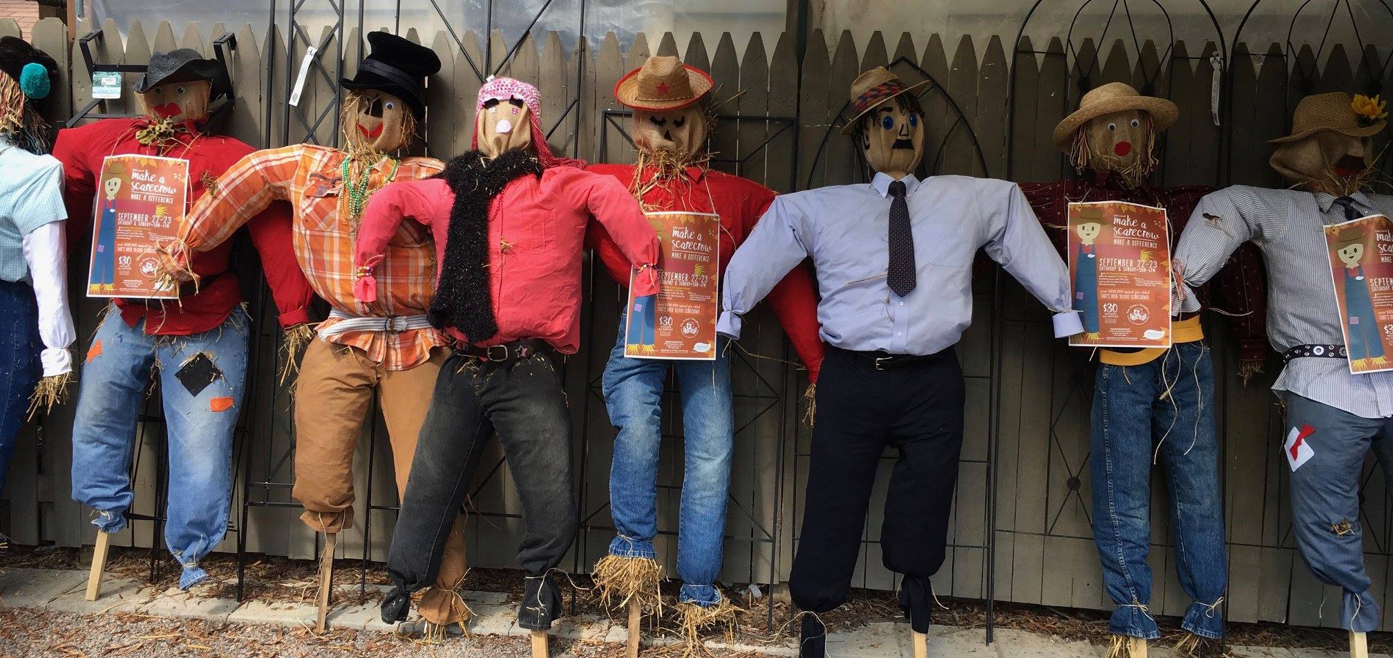 Make a Scarecrow / Make a Difference